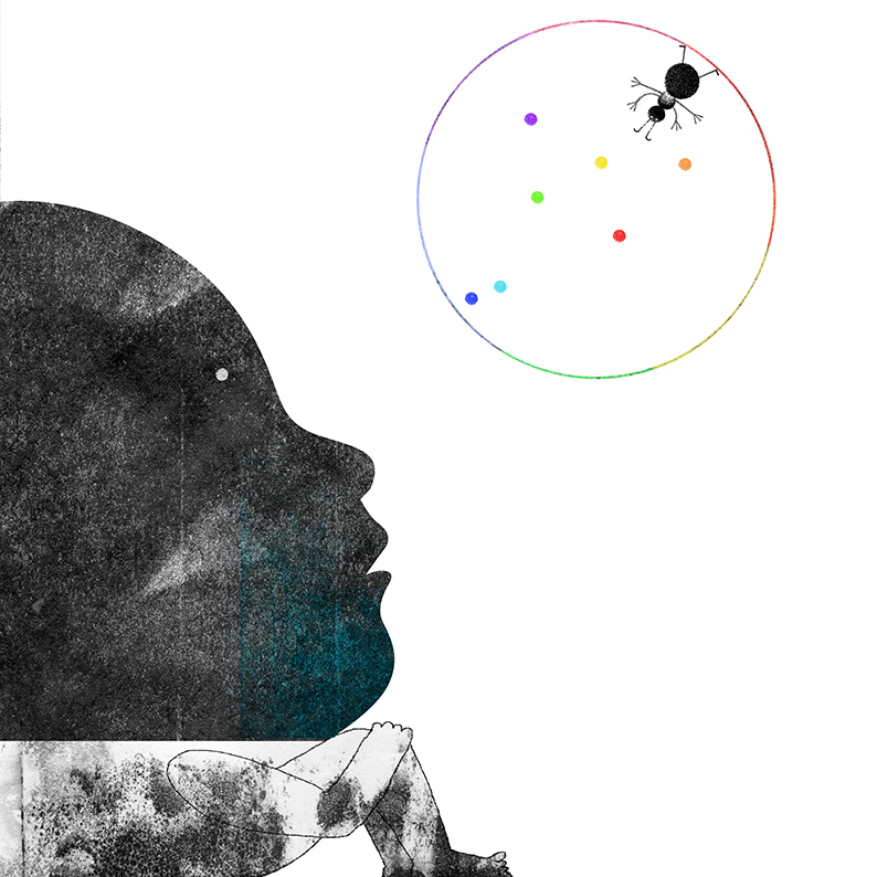 Donde nacen los colores. Collage digital, proyecto inédito. Ana Inés Castelli